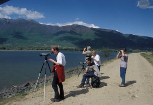 greece-kerkini-birdwatchers greece-kerkini-birdwatchers