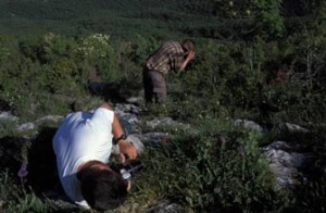 greece-nestos-orchids
