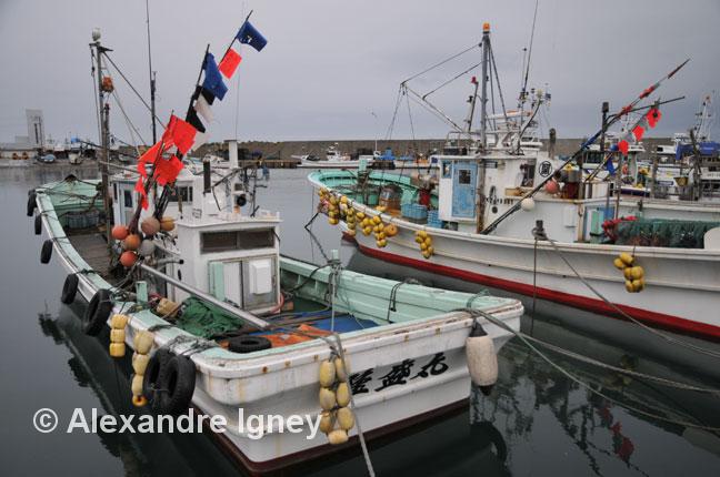 japan-fishing-industry japan-fishing-industry