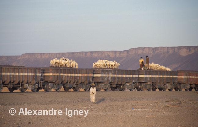 mauritania-ore-train mauritania-ore-train