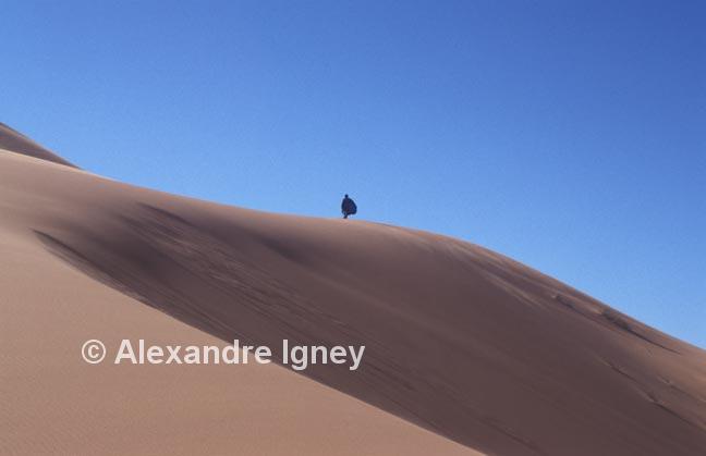 morocco-sahara-desert morocco-sahara-desert