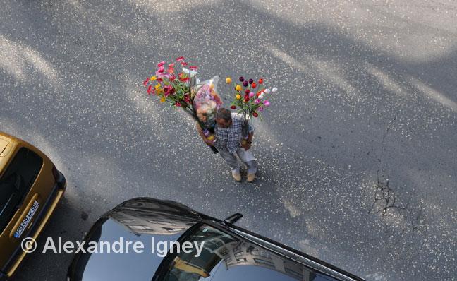 turkey-flower-seller turkey-flower-seller