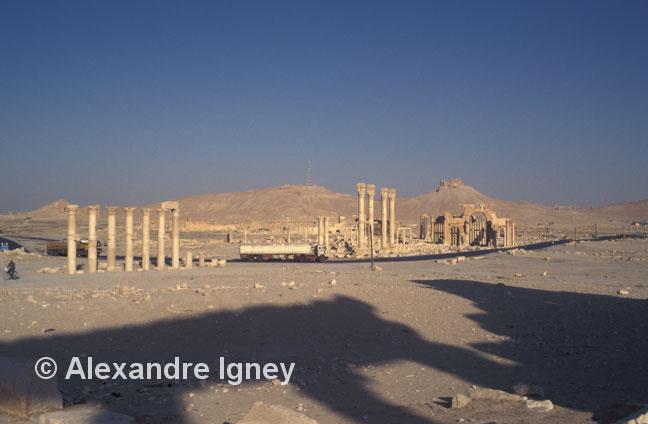 syria-palmyra-ruins syria-palmyra-ruins