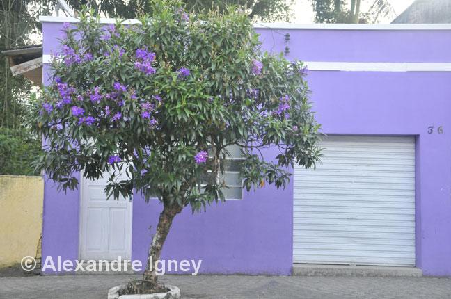 brazil-morretes-house