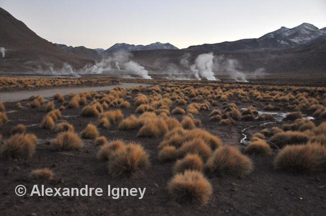 chile-eltatio-geyser