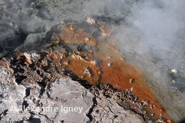 chile-eltatio-geyser4