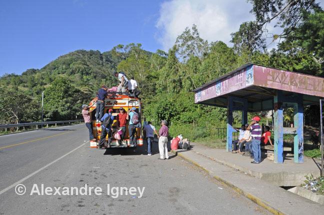 nicaragua-selvanegra-bus