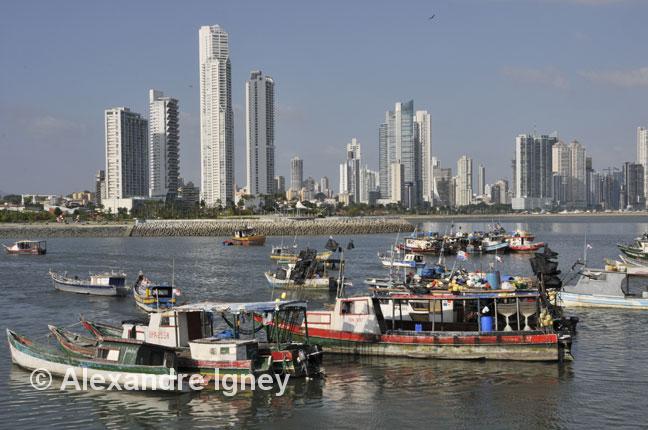 panama-skyline-fishing